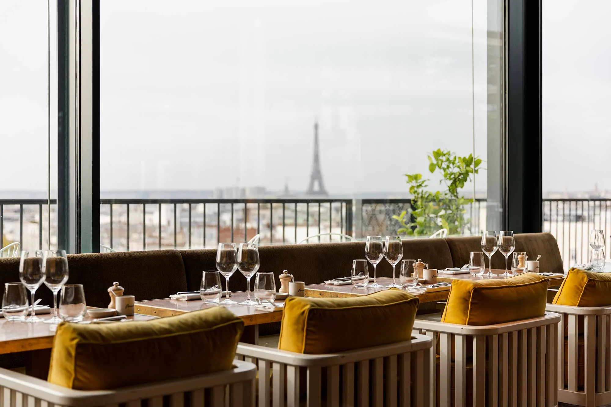 Paris Society : le renouveau des restaurants festifs & tendances à Paris