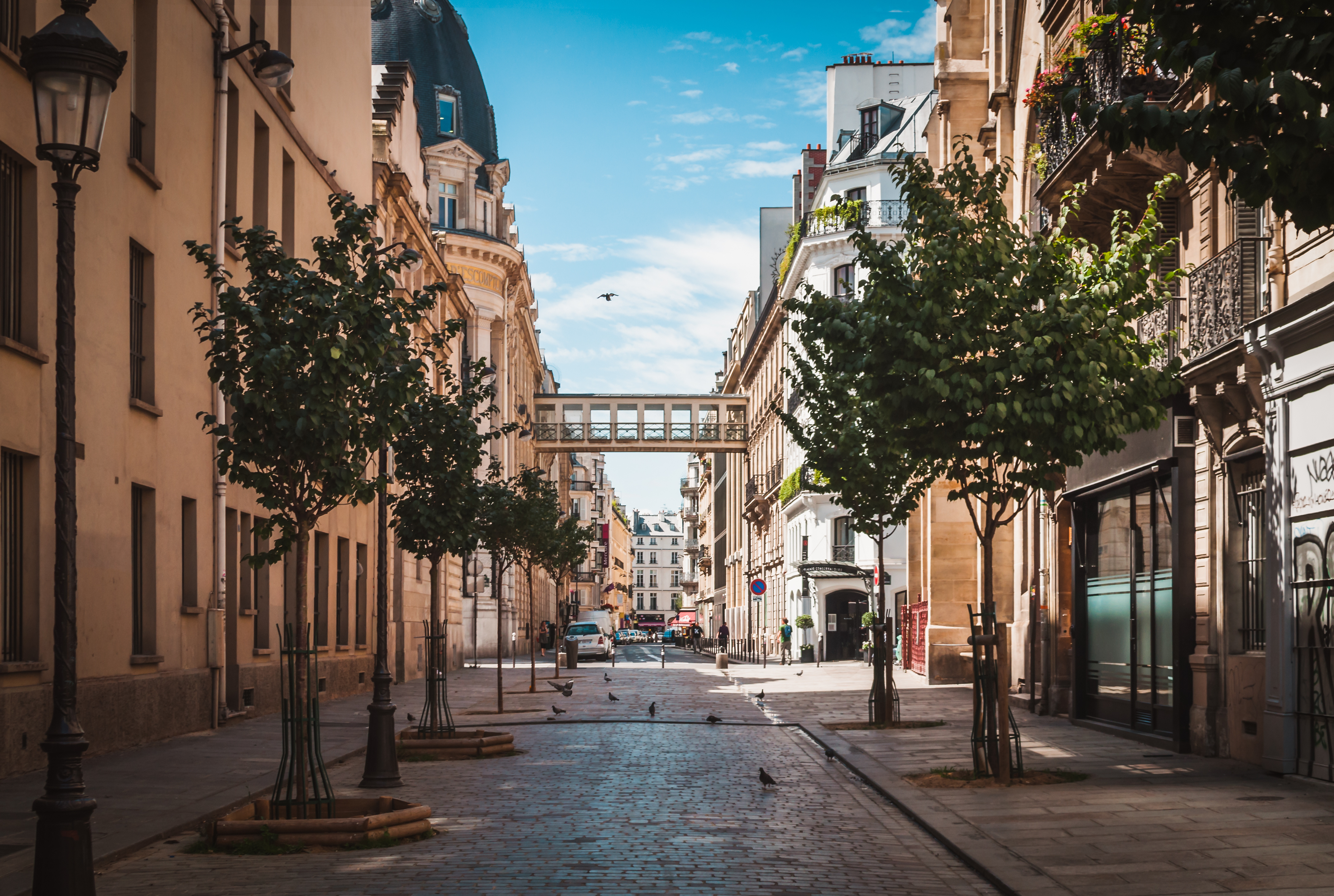 Location appartement Paris 9ème, avec l’agence immobilière de luxe Cabinet Courtois 